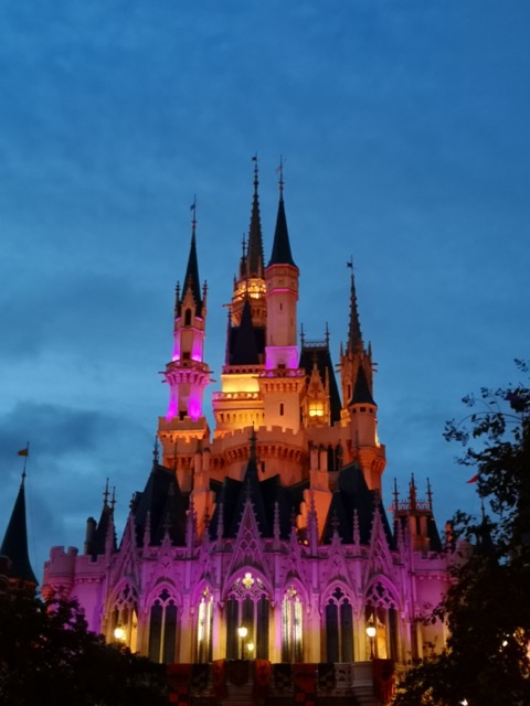 ディズニーランド4歳子供と行く夜のライトアップされたシンデレラ城の画像