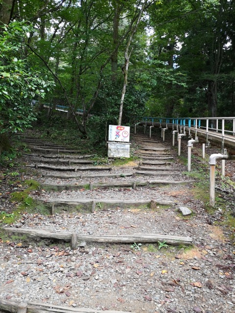 加茂山公園アスレチックローラー滑り台画像