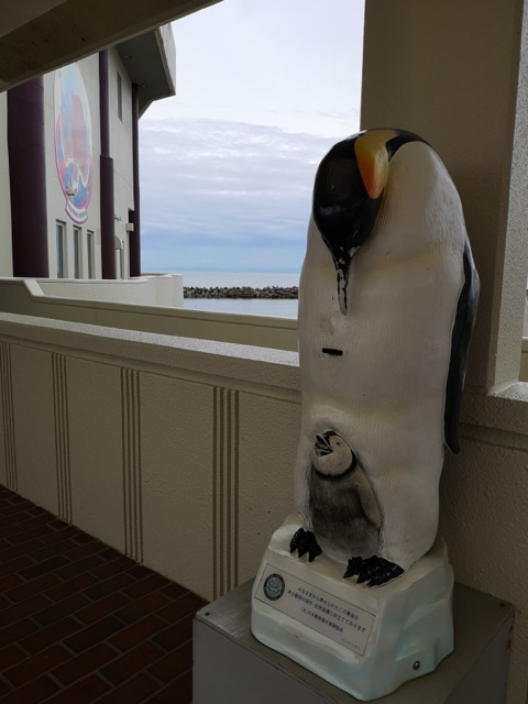 新潟寺泊水族博物館と日本海画像