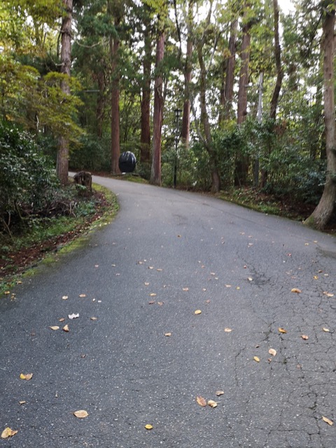 新潟県加茂山公園の坂道画像