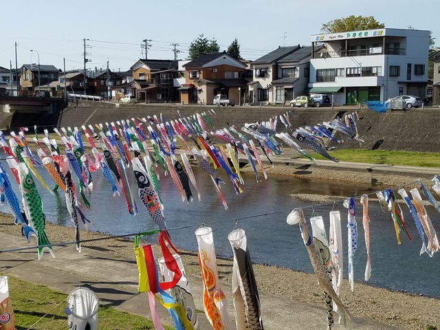 新潟県加茂市加茂山公園こいのぼり画像