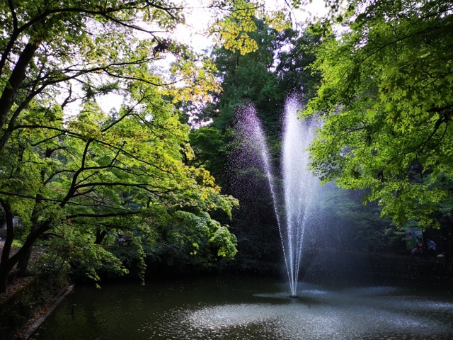 新潟県加茂山公園の紅葉スポットの噴水画像